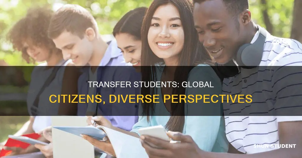 who is an international transfer student