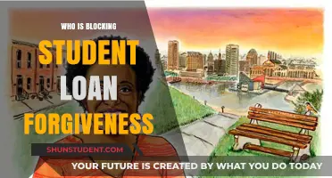 Who's Blocking Student Loan Forgiveness? Uncovering the Hidden Obstacles