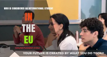 Understanding International Student Status in the EU