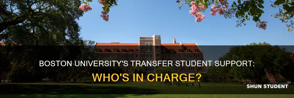 who is in charge of transfer students at boston university