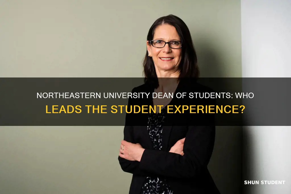 who is northeastern university dean of students