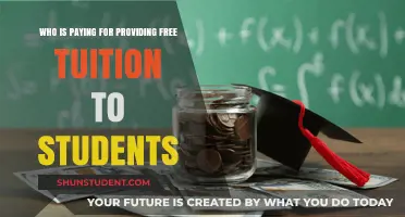 Funding Free Tuition: Who Pays the Bill?