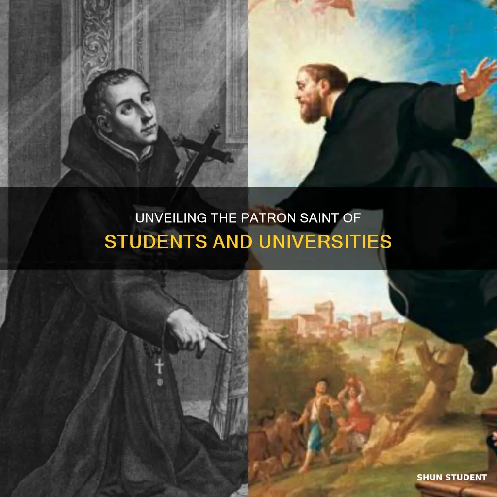 who is the patron saint of students and universities