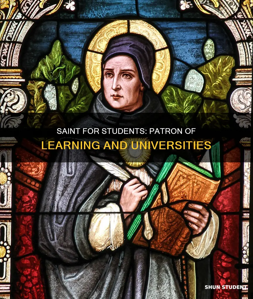 who is the patron saint of students and universities