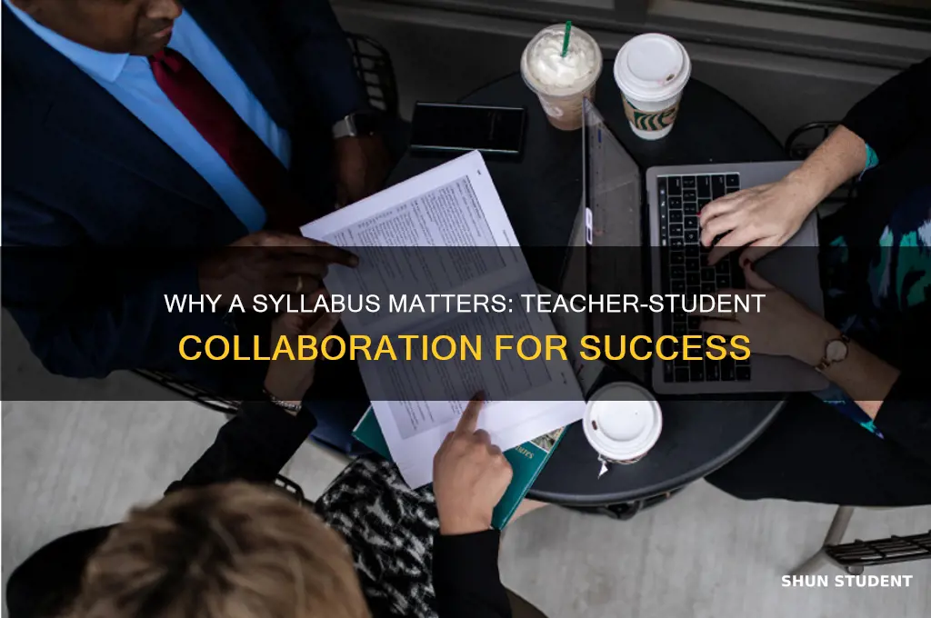 who needs a syllabus teacher student