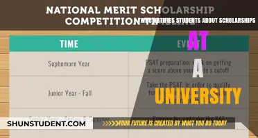 Scholarship Alerts: Who's Responsible for Notifying University Students?