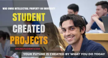 Intellectual Property Rights: Student Projects, Ownership, and Legal Considerations