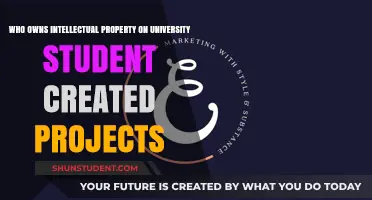 University IP Rights: Who Owns Student Projects?