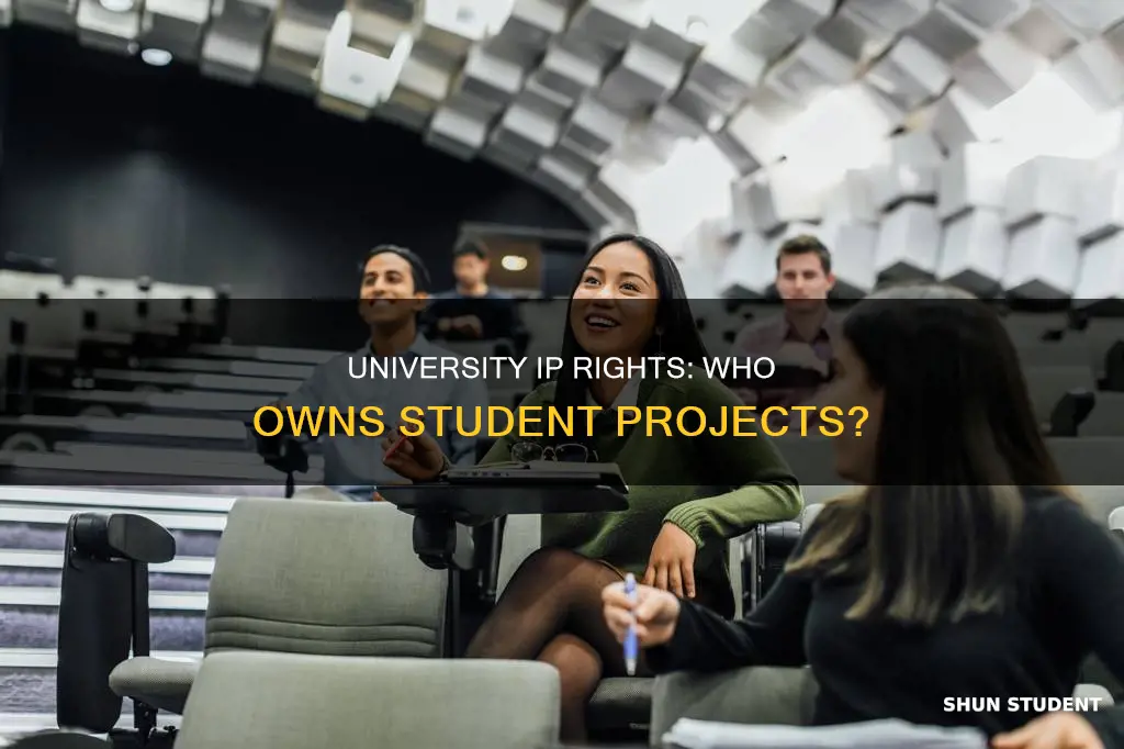 who owns intellectual property on university student created projects