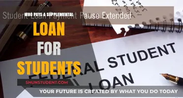 Student Supplemental Loans: Who Pays and How?