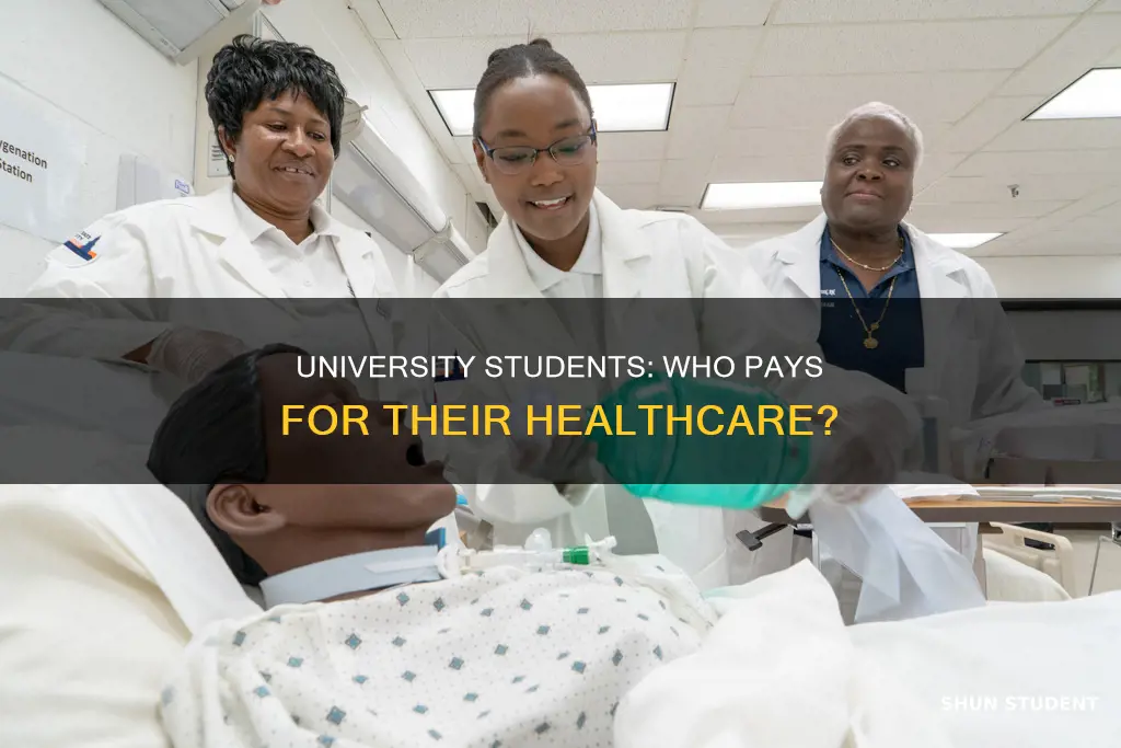 who pays for student health care at universities