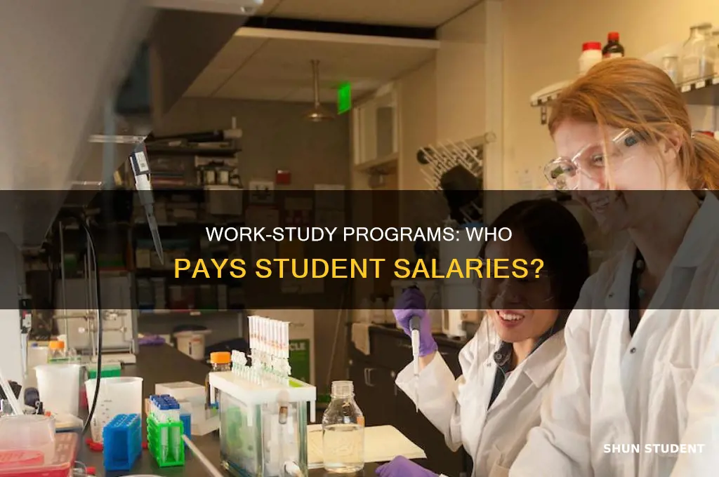who pays for student salaries in work-study programs