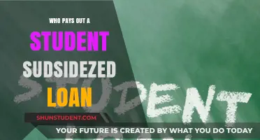 Student Loan Payback: Who Pays and How?