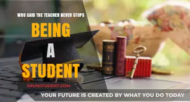 The Lifelong Learner: Why Teachers Always Remain Students