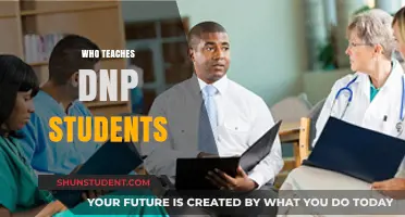 Who Educates DNP Students? Exploring Faculty Roles in Advanced Nursing