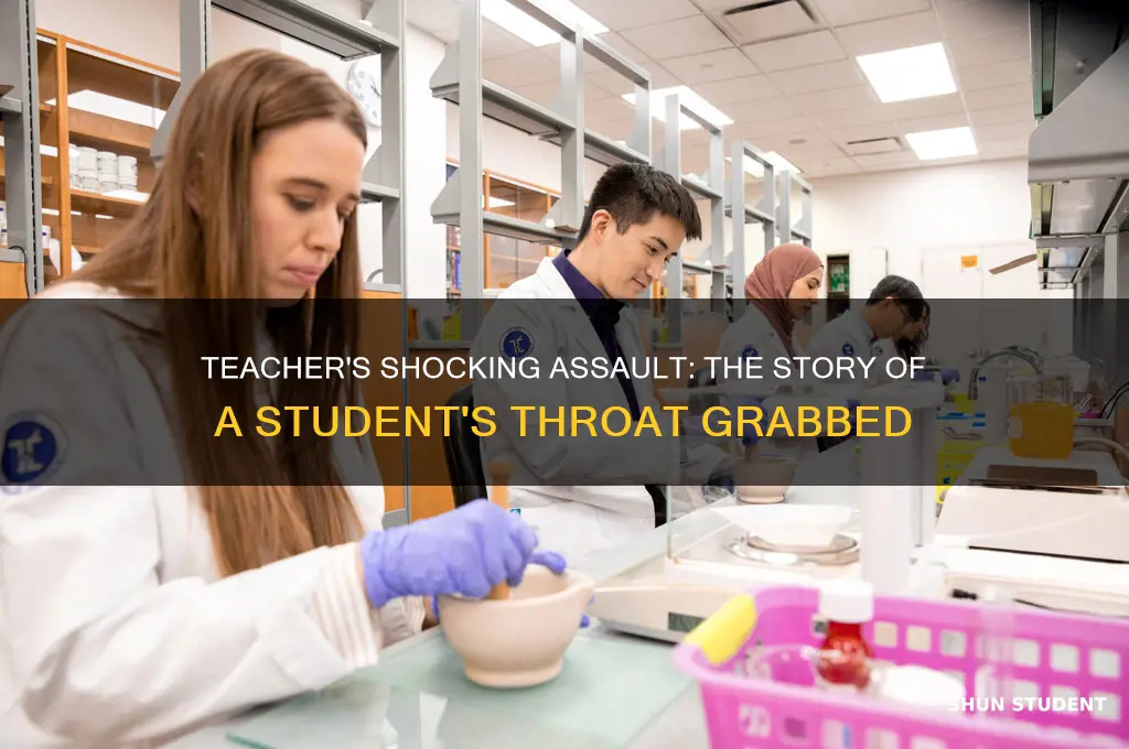 who was the teacher that grabbed a students trought