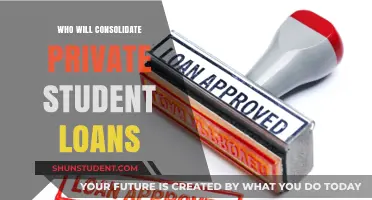 Who Consolidates Private Student Loans? Top Lenders and Options
