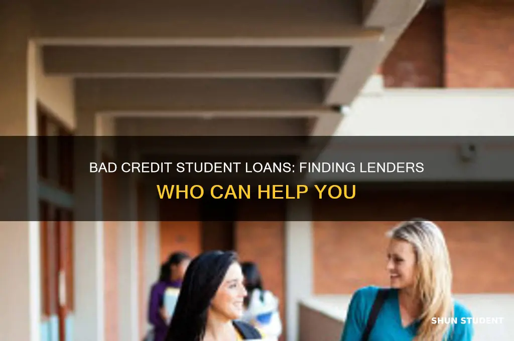 who will give me a student loan with bad credit
