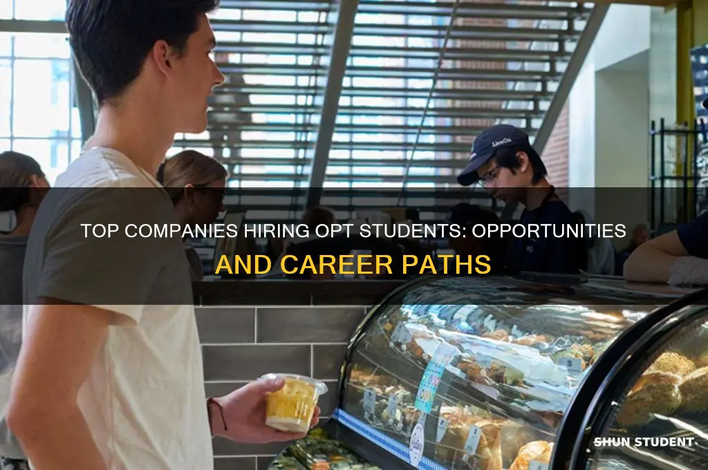 who will hire opt students