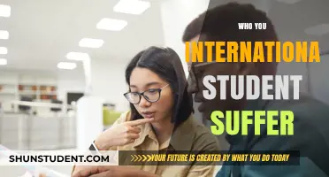 International Student Struggles: Navigating a Foreign Education