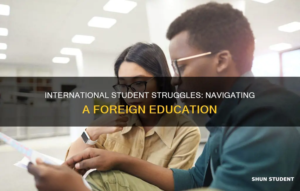 who you international student suffer