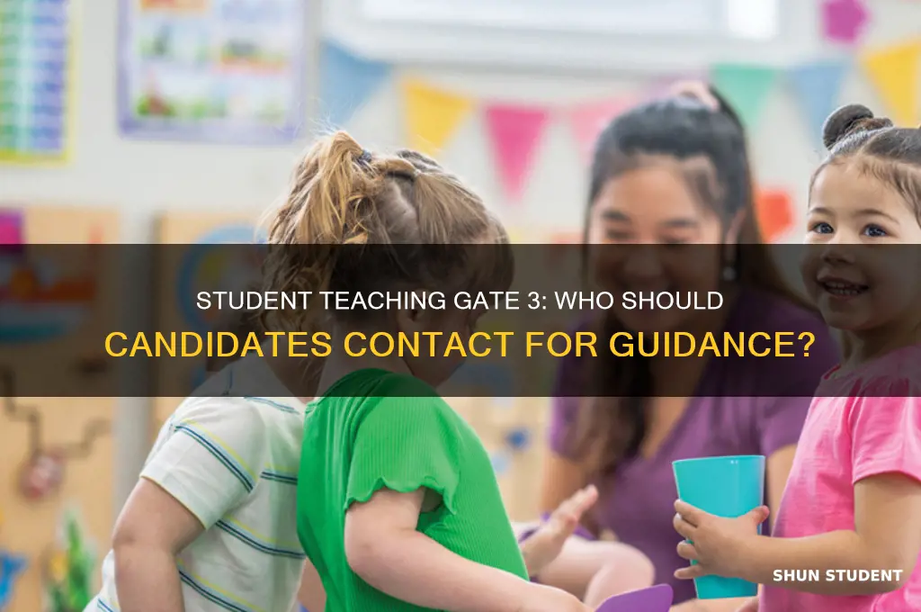 whom does the candidate contact for student teaching gate 3