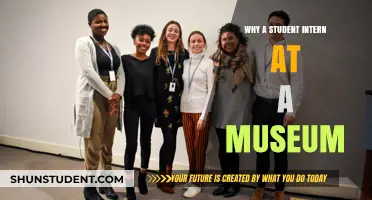 Museum Internships: A Student's Guide to Hands-on Learning
