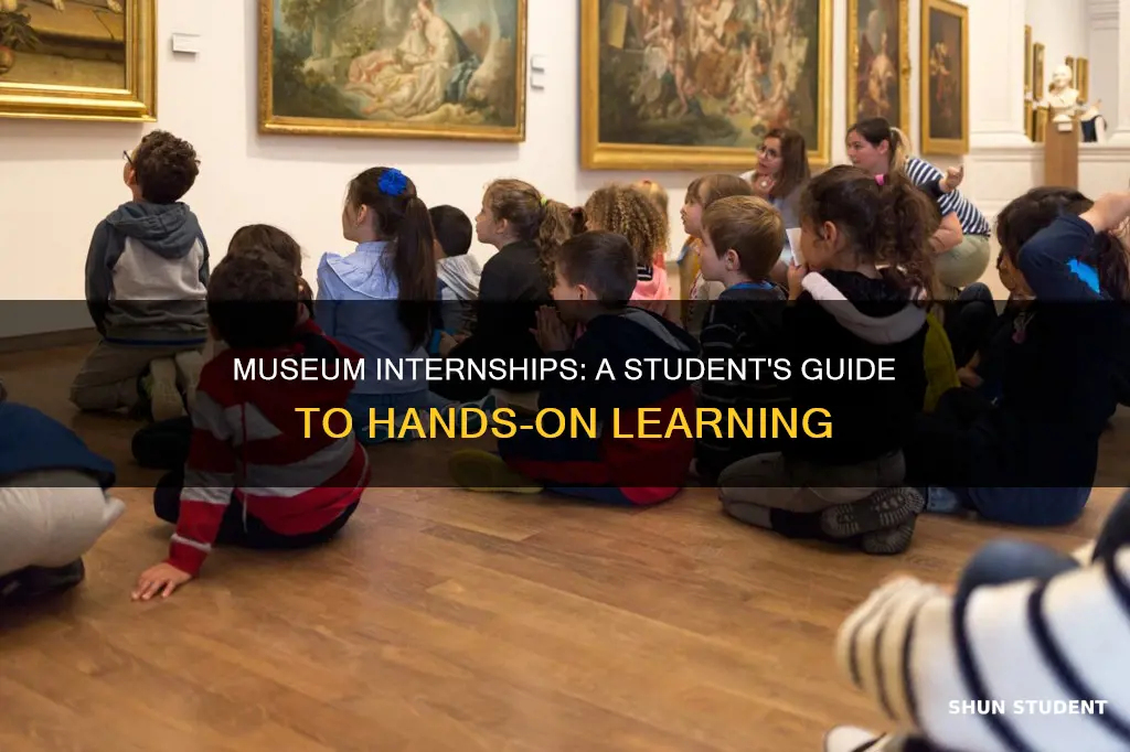 why a student intern at a museum