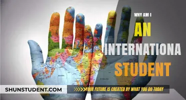 International Student: My Journey, My Story