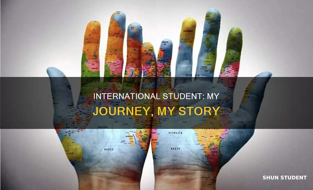 why am i an international student