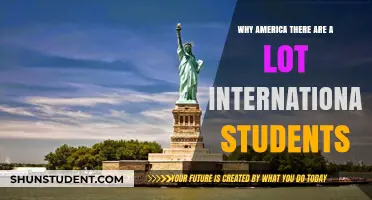 America: A Top Destination for International Students