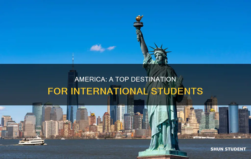 why america there are a lot international students