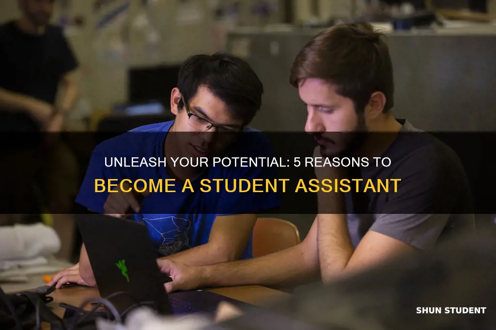 why apply to be a student assistant at university