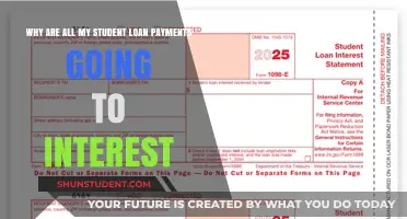 Decoding Student Loans: Why Your Payments Aren't Reducing the Principal