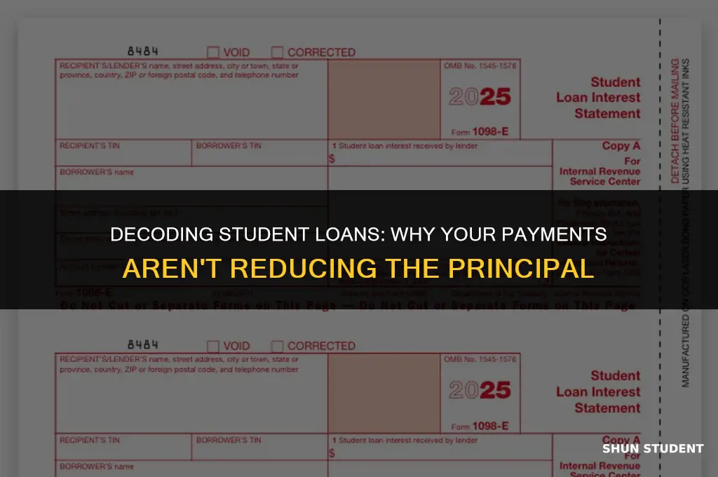 why are all my student loan payments going to interest