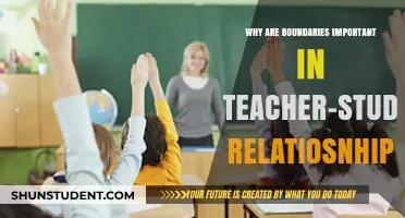 Setting Boundaries: Nurturing Healthy Teacher-Student Relationships for Success