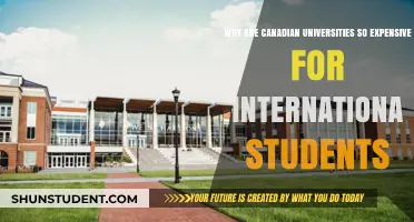 Canadian University Tuition: Why International Students Face High Costs