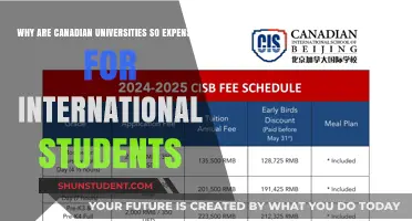 International Students: Canada's High University Fees Explained