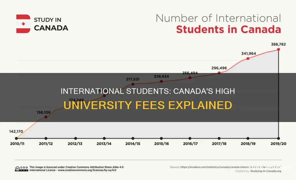 why are canadian universities so expensive for international students
