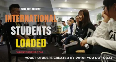 Chinese International Students: Loaded and Luxurious