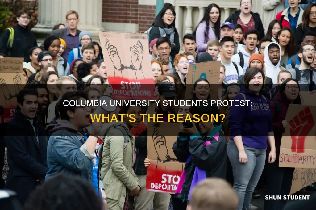 why are college students protesting at columbia university