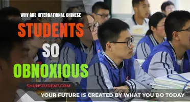 Chinese Students Abroad: Why So Obnoxious?