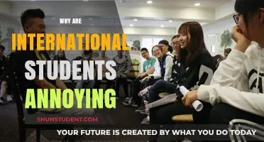 The Annoyances of International Students: Understanding the Frustrations