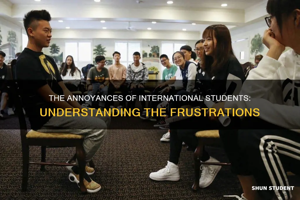 why are international students annoying