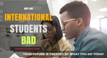 International Students: The Unseen Challenges and Issues
