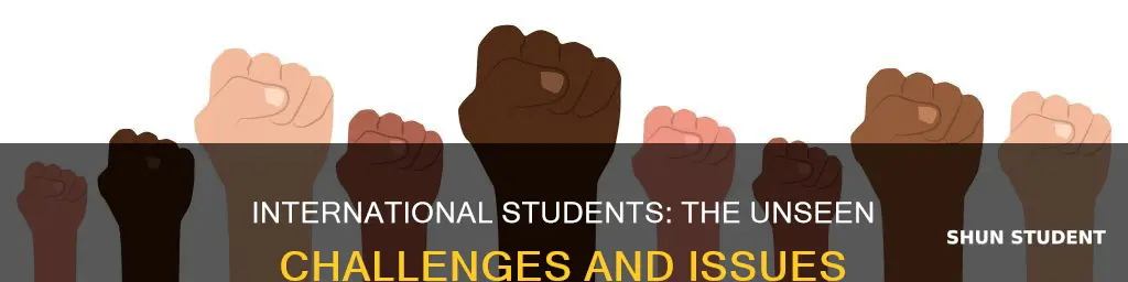 why are international students bad