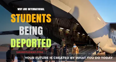Deportation of International Students: Understanding the Reasons