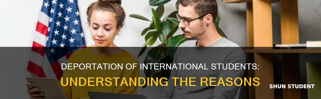why are international students being deported