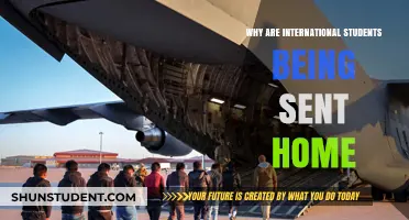 International Students: Why Are They Being Sent Home?