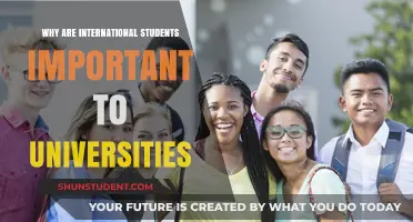 International Students: The Key to Global University Success